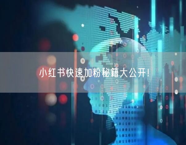 小红书快速加粉秘籍大公开！