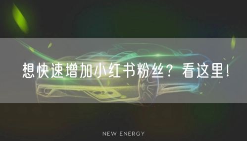 想快速增加小红书粉丝？看这里！