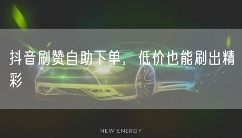 抖音刷赞自助下单，低价也能刷出精彩