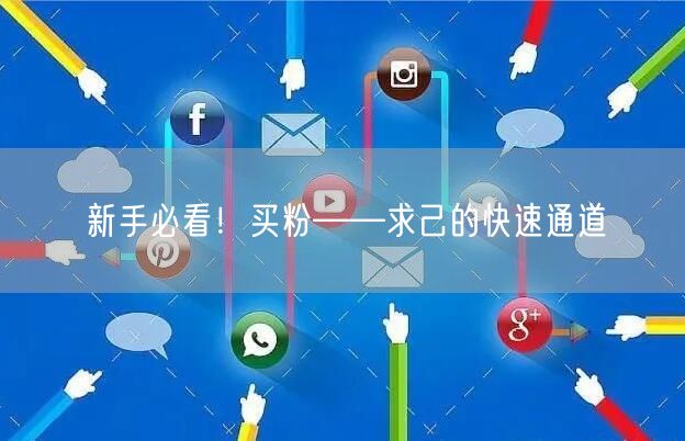 新手必看！买粉——求己的快速通道