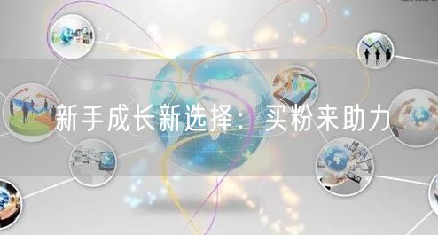 新手成长新选择：买粉来助力