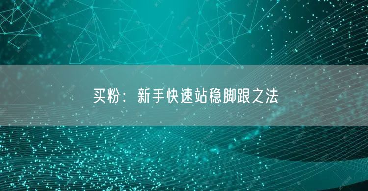 买粉：新手快速站稳脚跟之法