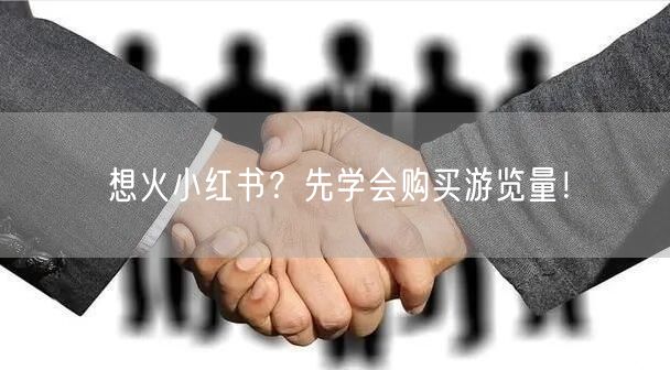 想火小红书？先学会购买游览量！