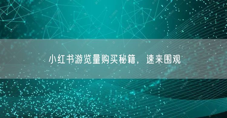 小红书游览量购买秘籍，速来围观