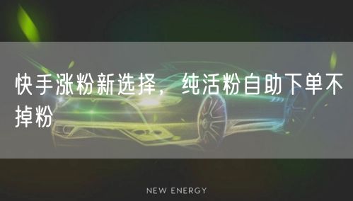 快手涨粉新选择，纯活粉自助下单不掉粉