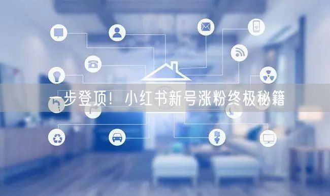 一步登顶！小红书新号涨粉终极秘籍