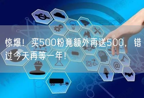 惊爆！买500粉竟额外再送500，错过今天再等一年！