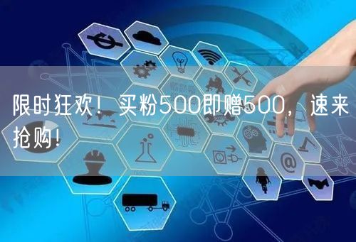 限时狂欢！买粉500即赠500，速来抢购！