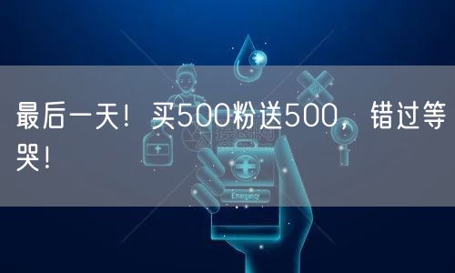 最后一天！买500粉送500，错过等哭！