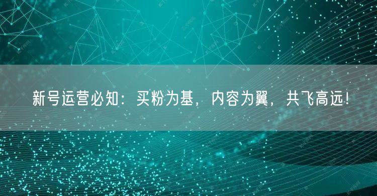 新号运营必知：买粉为基，内容为翼，共飞高远！