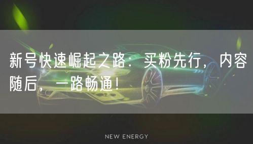 新号快速崛起之路：买粉先行，内容随后，一路畅通！