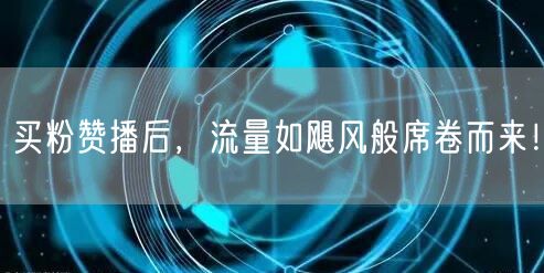 买粉赞播后，流量如飓风般席卷而来！