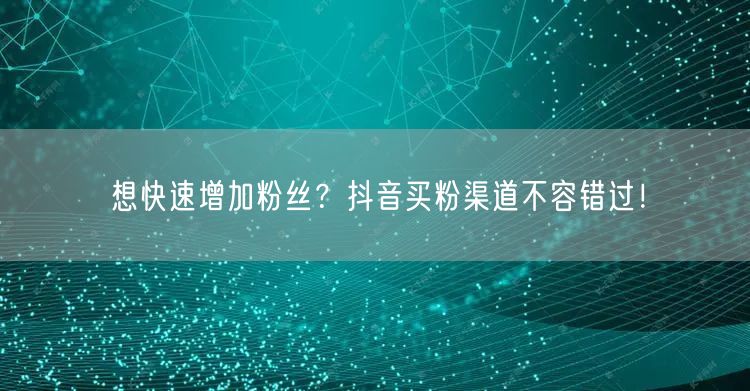 想快速增加粉丝？抖音买粉渠道不容错过！