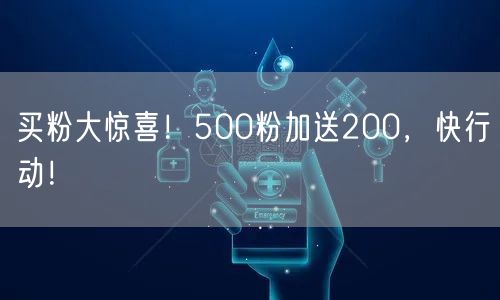 买粉大惊喜！500粉加送200，快行动！