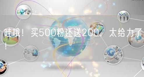 哇哦！买500粉还送200，太给力了！