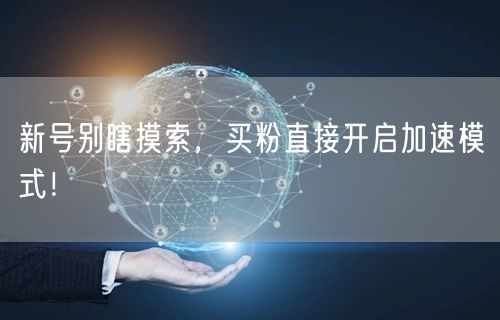 新号别瞎摸索，买粉直接开启加速模式！