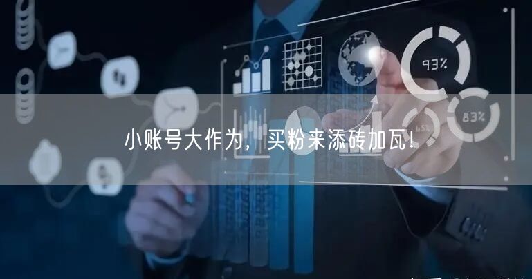 小账号大作为，买粉来添砖加瓦！