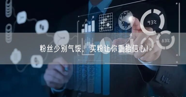 粉丝少别气馁，买粉让你重拾信心！