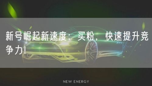 新号崛起新速度：买粉，快速提升竞争力！