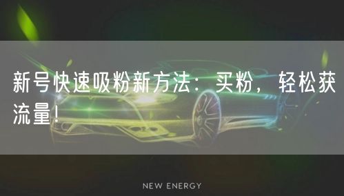 新号快速吸粉新方法：买粉，轻松获流量！