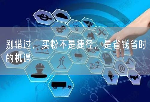 别错过，买粉不是捷径，是省钱省时的机遇