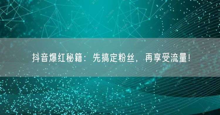 抖音爆红秘籍：先搞定粉丝，再享受流量！
