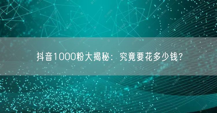 抖音1000粉大揭秘：究竟要花多少钱？