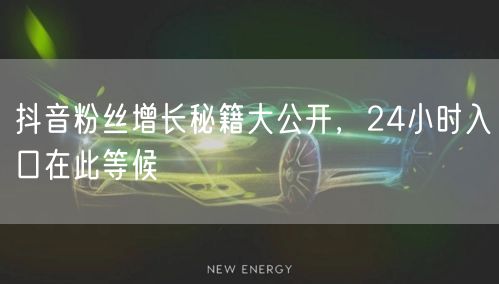 抖音粉丝增长秘籍大公开，24小时入口在此等候