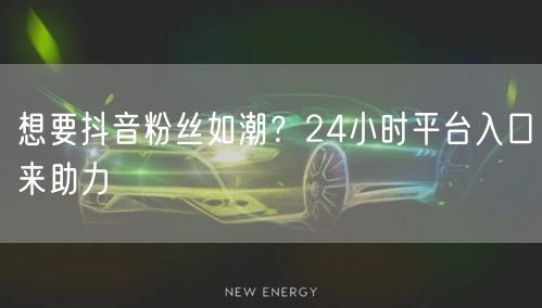 想要抖音粉丝如潮？24小时平台入口来助力