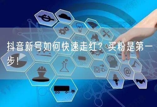 抖音新号如何快速走红？买粉是第一步！