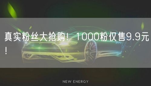 真实粉丝大抢购！1000粉仅售9.9元！