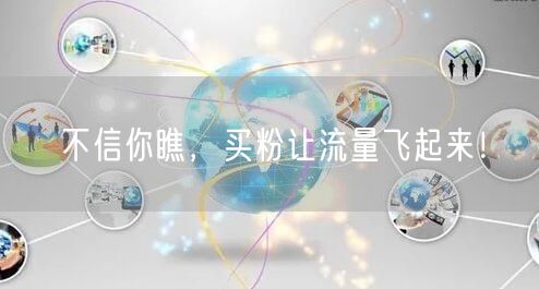 不信你瞧，买粉让流量飞起来！