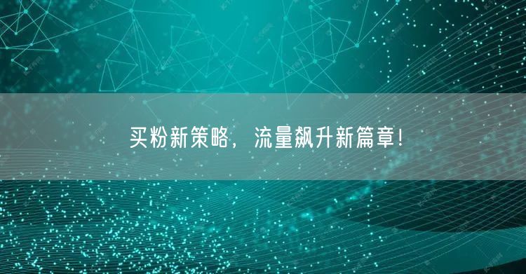 买粉新策略，流量飙升新篇章！
