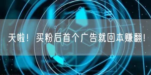 天啦！买粉后首个广告就回本赚翻！