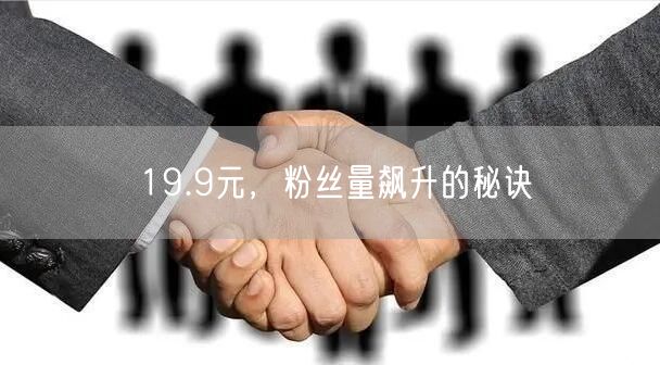 19.9元，粉丝量飙升的秘诀