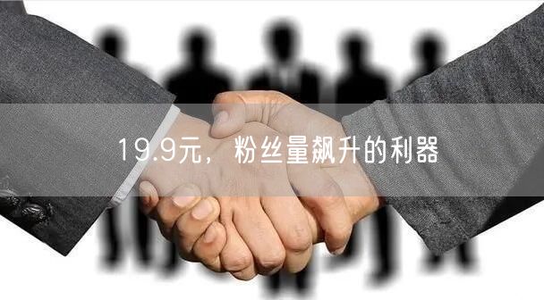 19.9元，粉丝量飙升的利器