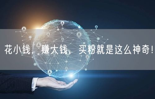 花小钱，赚大钱，买粉就是这么神奇！