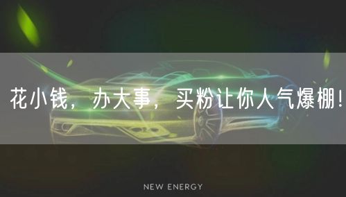 花小钱，办大事，买粉让你人气爆棚！