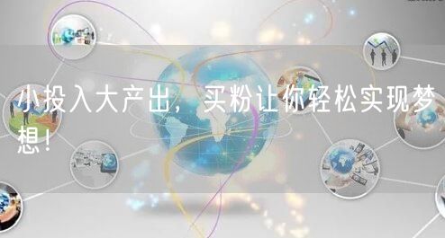 小投入大产出，买粉让你轻松实现梦想！