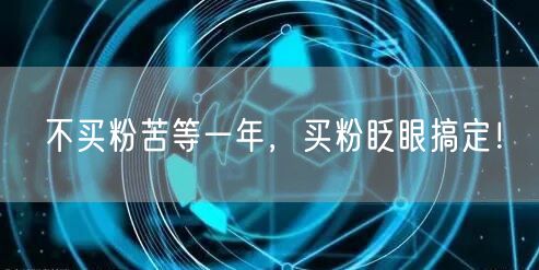 不买粉苦等一年，买粉眨眼搞定！