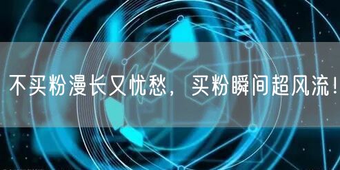 不买粉漫长又忧愁，买粉瞬间超风流！