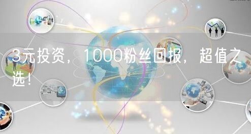 3元投资，1000粉丝回报，超值之选！