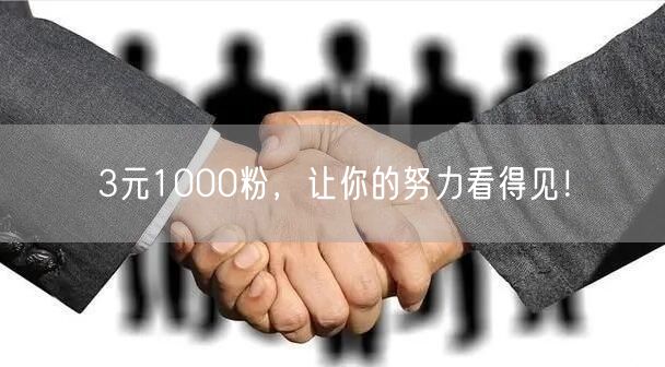 3元1000粉，让你的努力看得见！