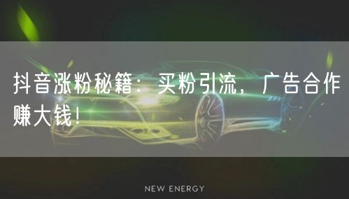抖音涨粉秘籍：买粉引流，广告合作赚大钱！
