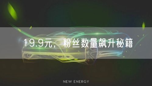 19.9元，粉丝数量飙升秘籍