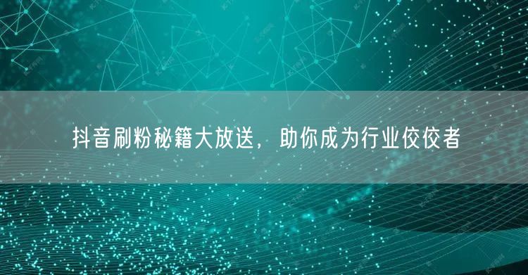 抖音刷粉秘籍大放送，助你成为行业佼佼者
