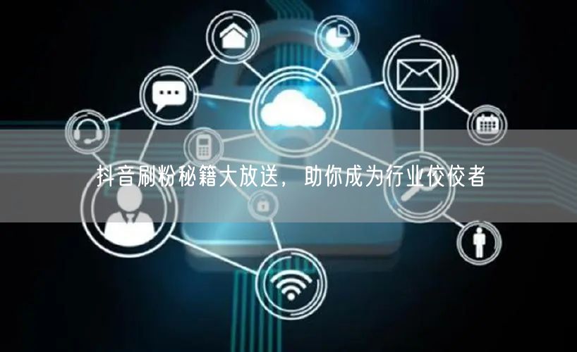抖音刷粉秘籍大放送，助你成为行业佼佼者