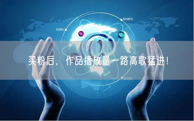 买粉后，作品播放量一路高歌猛进！