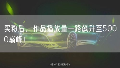 买粉后，作品播放量一路飙升至5000巅峰！