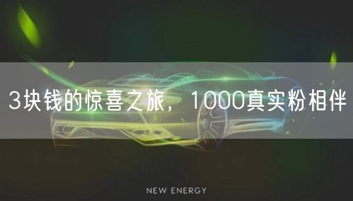 3块钱的惊喜之旅，1000真实粉相伴